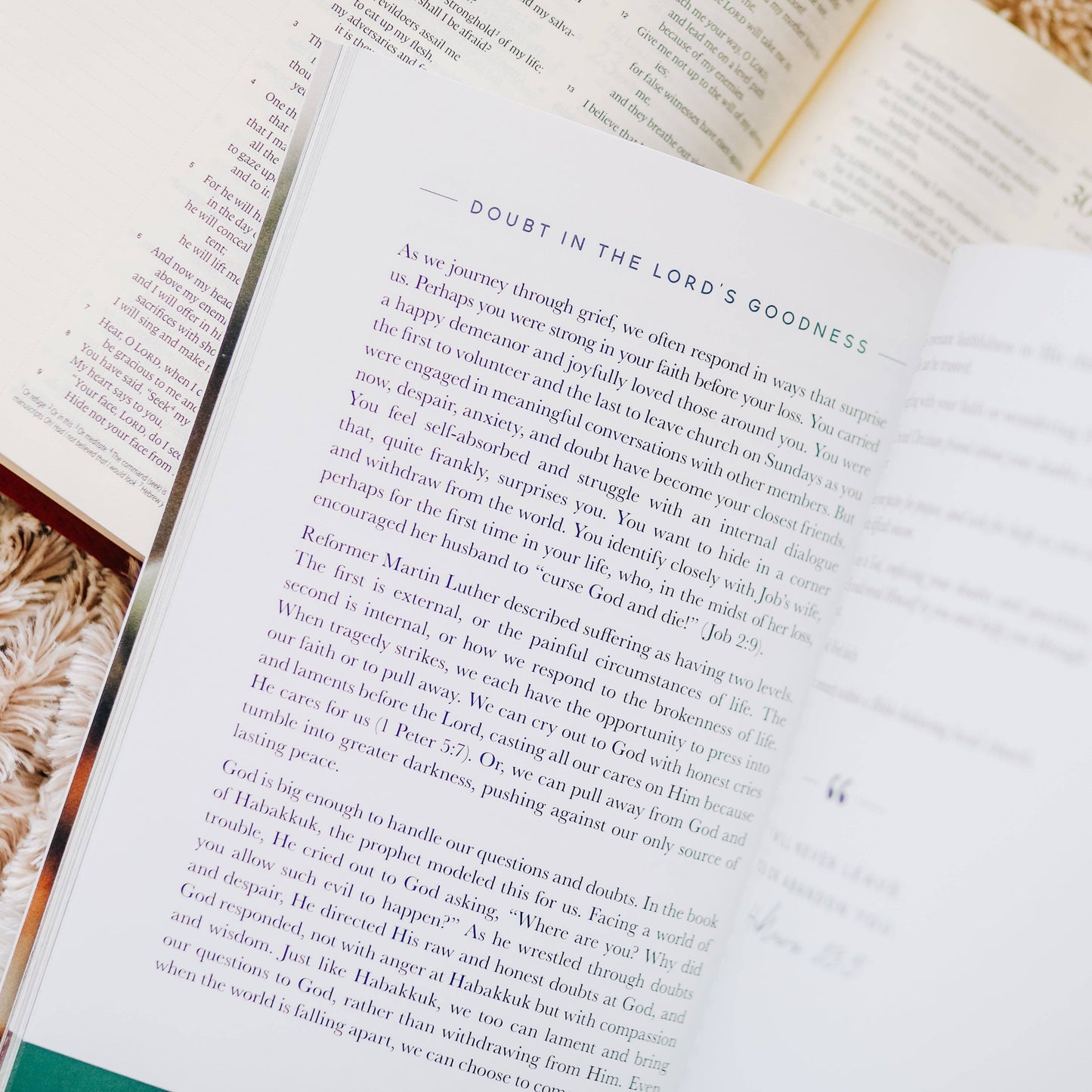 GOSPEL HOPE IN GRIEF AND LOSS BOOK
