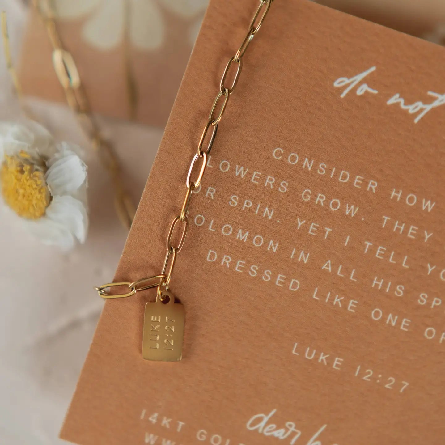 DO NOT WORRY MINI TAG CHRISTIAN NECKLACE LUKE 12:27