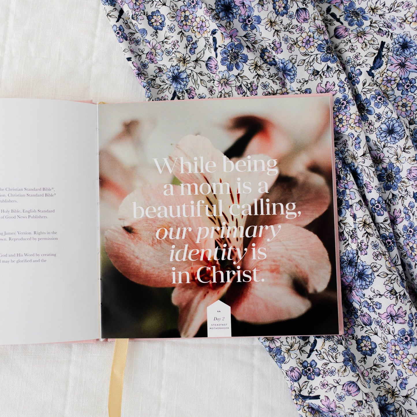 STEADFAST MOTHERHOOD | 60 DAYS OF ABIDING CHRIST