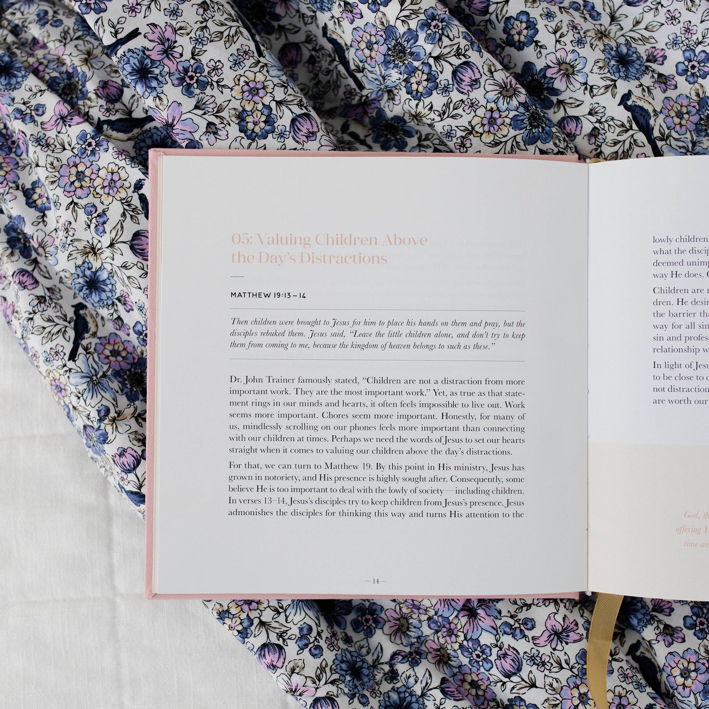 STEADFAST MOTHERHOOD | 60 DAYS OF ABIDING CHRIST