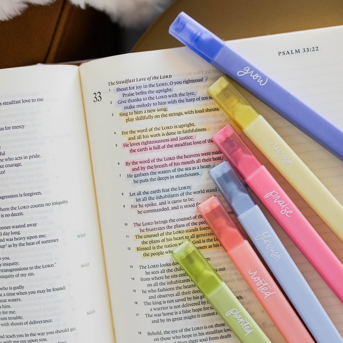 BIBLE GARDEN HIGHLIGHTERS