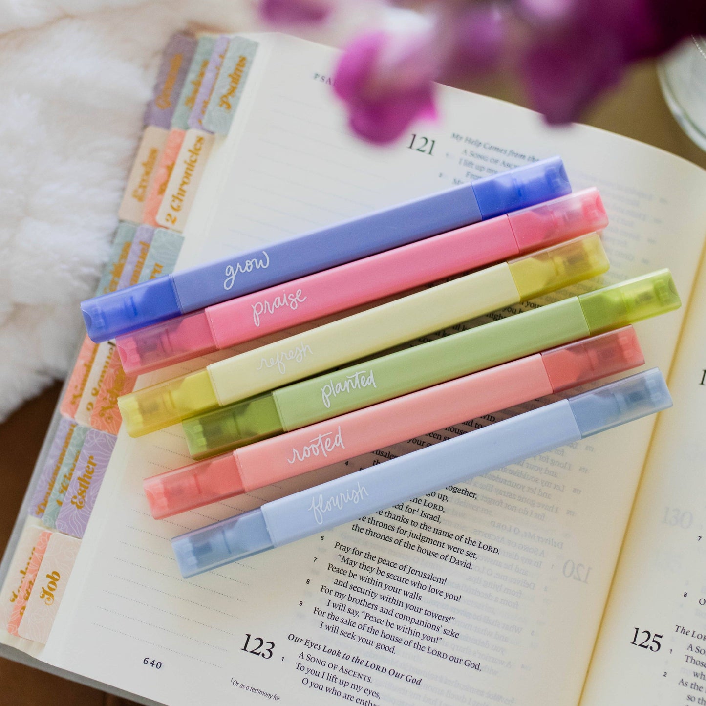 BIBLE GARDEN HIGHLIGHTERS