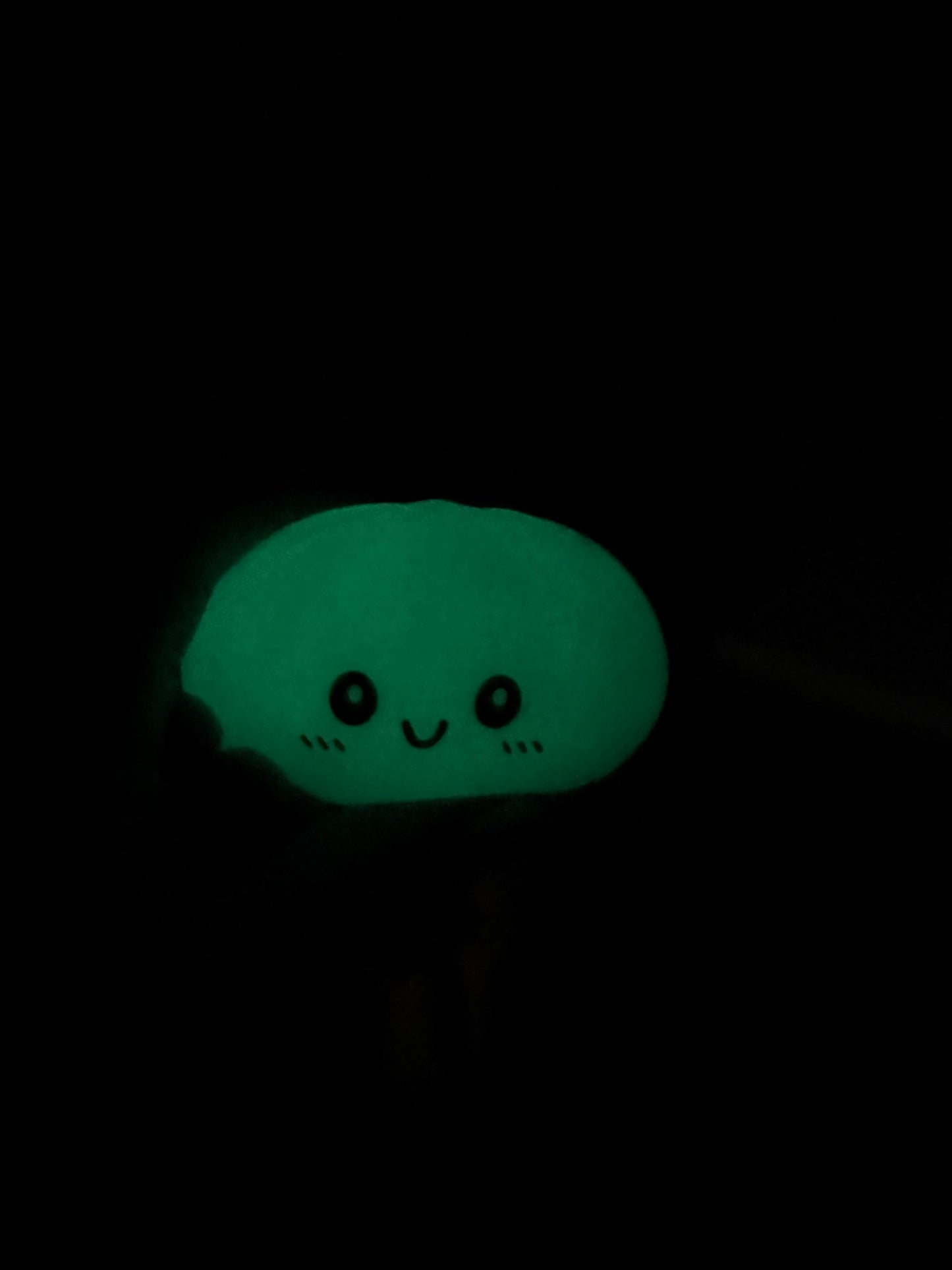 Mystery Glow In The Dark Dumpling