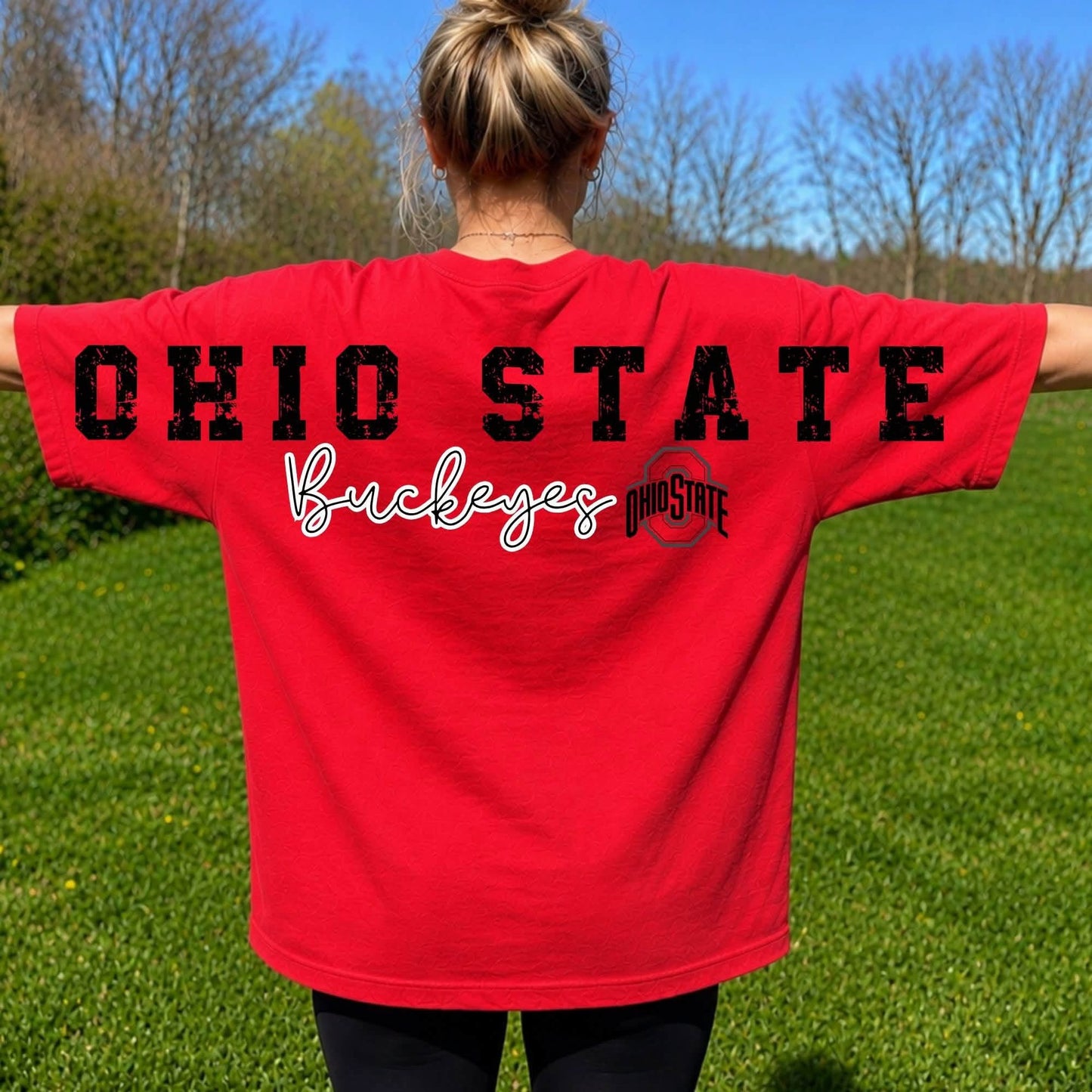 Ohio State Large Letter T-Shirt or Sweatshirts