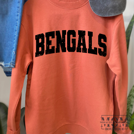 PRE ORDER CINCINNATI PIGMENT DYED SOFT CREWNECK SWEATSHIRT
