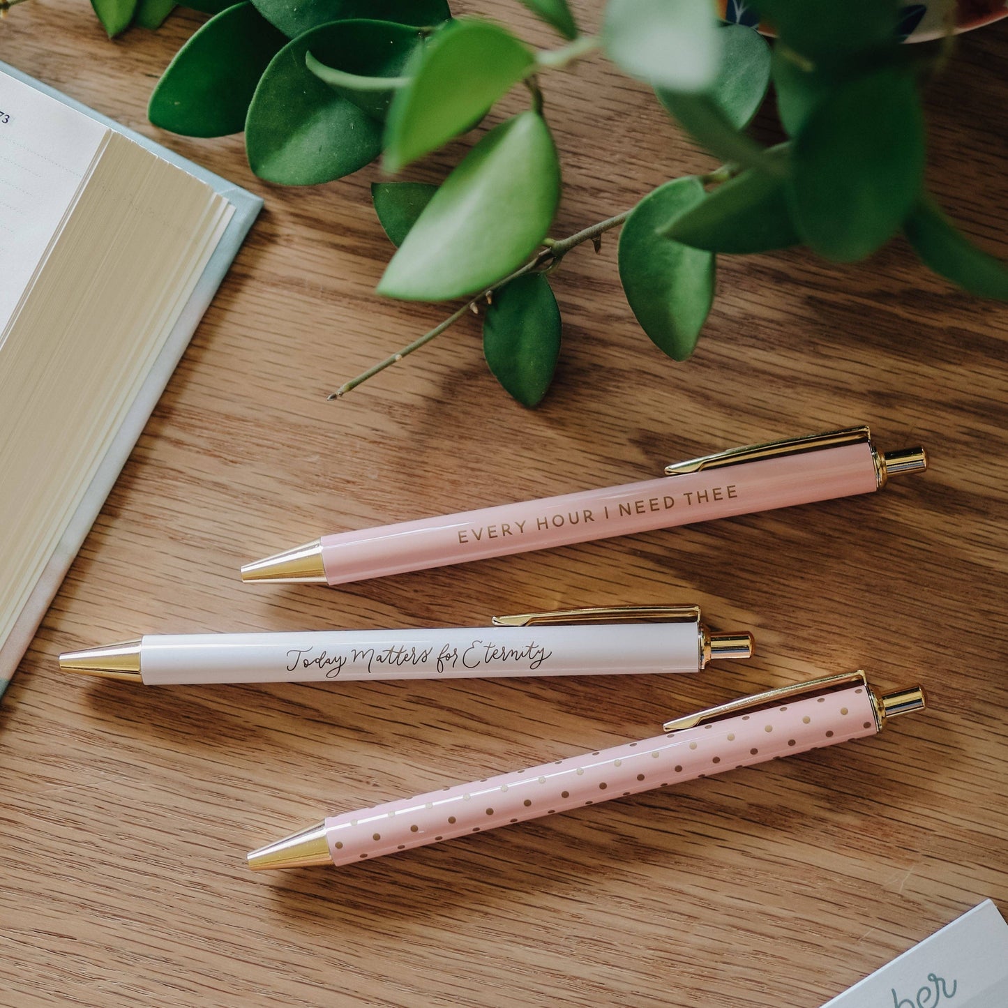 BLUSH PEN SET